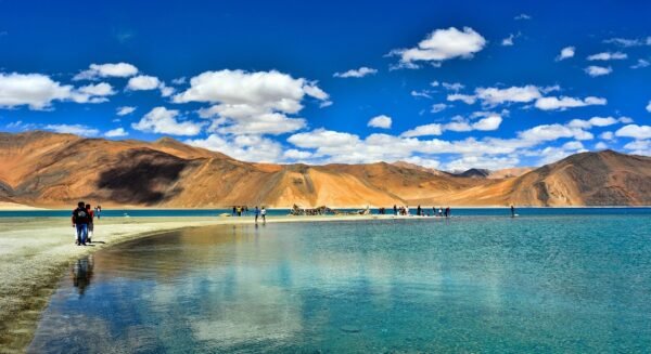 nubra pangong taxi